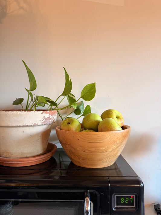 Spalted Ambrosia Maple Bowl