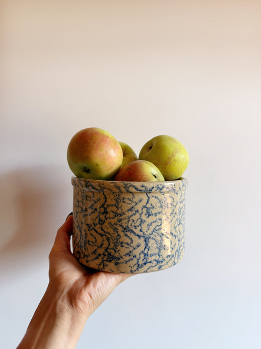 Ransbottom Low Jar Crock