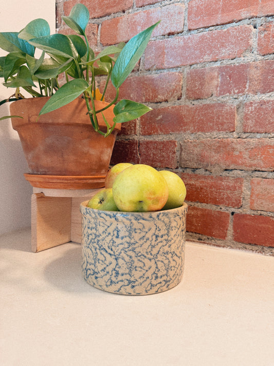 Ransbottom Low Jar Crock